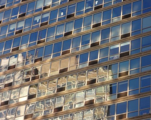 amazilia coral foto (2)